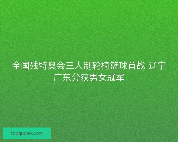 全国残特奥会三人制轮椅篮球首战 辽宁广东分获男女冠军